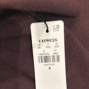 Express Burgundy Knit Turtleneck